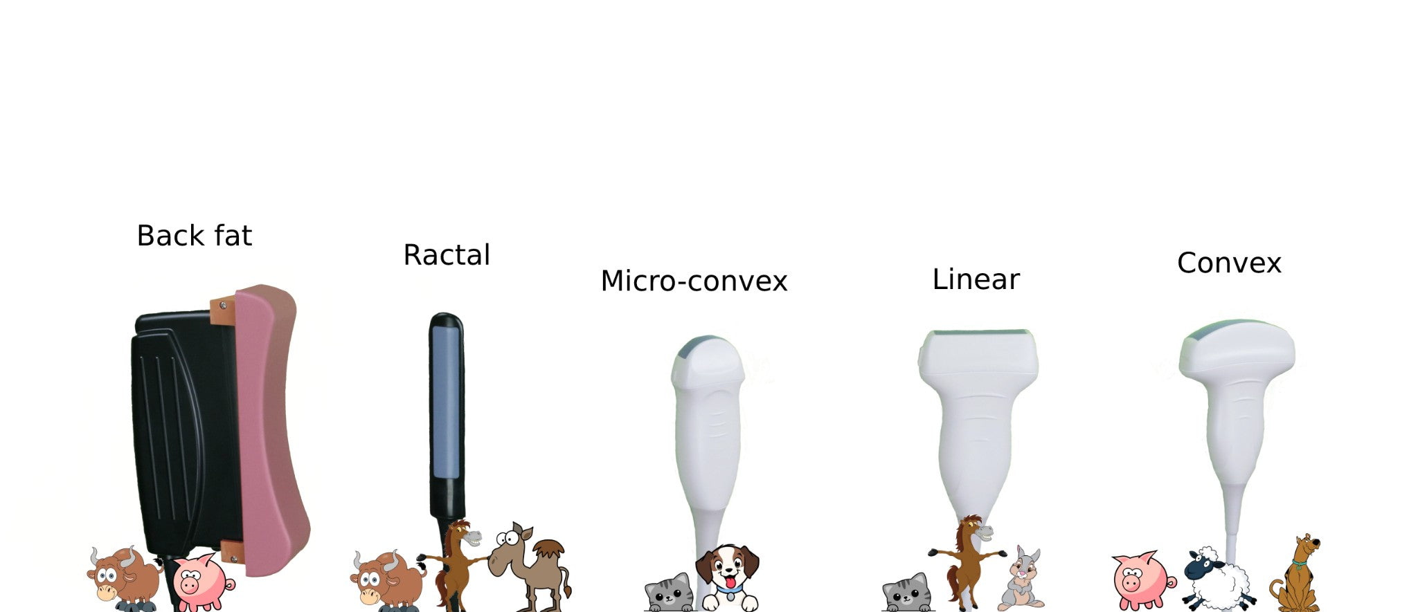 ECO-17Vet High end Equine Ultrasound with Rectal Probe 4-12 MHz Color Doppler DIAGNOSTIC ULTRASOUND MACHINES FOR SALE