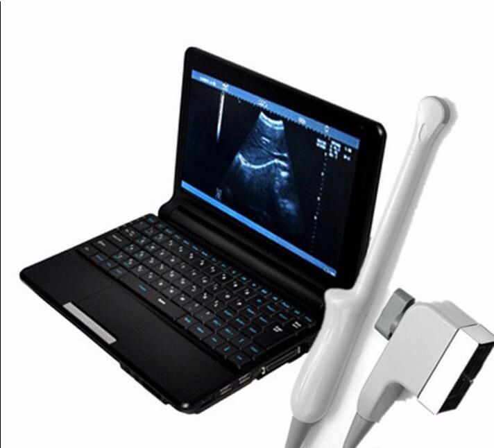 Laptop Digital Ultrasound scanner with Transvaginal probe,+3D With Box CE A+ 190891499356 DIAGNOSTIC ULTRASOUND MACHINES FOR SALE