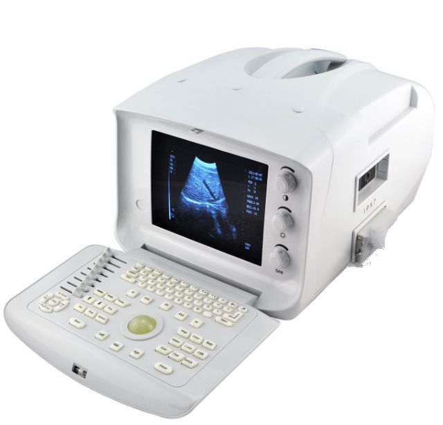 Free 3D Vet Veterinary Ultrasound Scanner Digital LCD Monitor Micro-Convex Probe 190891975430 DIAGNOSTIC ULTRASOUND MACHINES FOR SALE