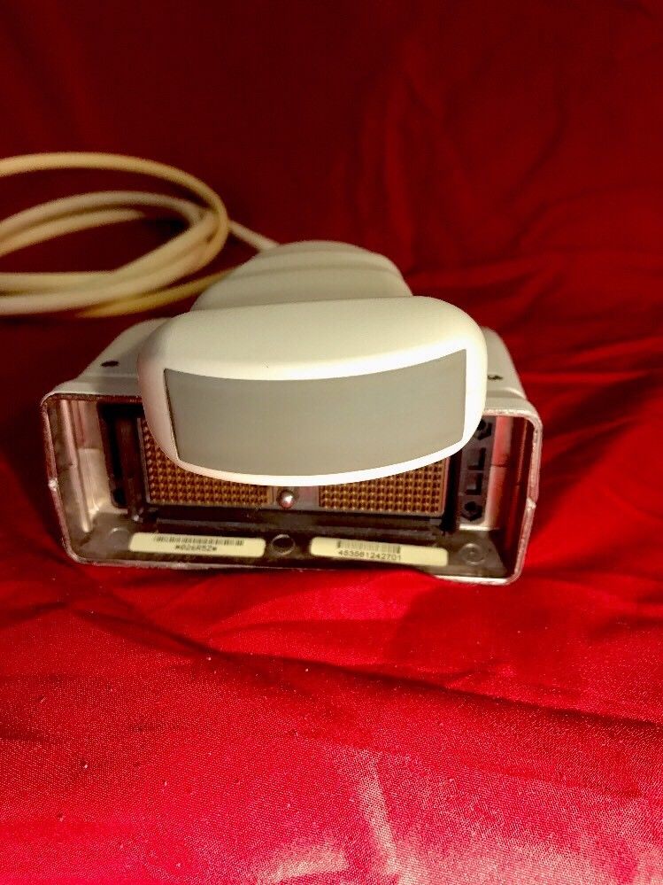 probe gray head facing camera