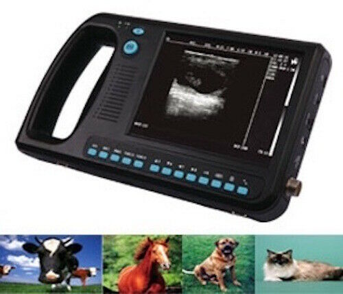 Handheld Ultrasound Large Animals - WED-3000V with rectal probe New DIAGNOSTIC ULTRASOUND MACHINES FOR SALE