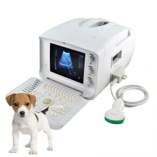 Medical Ultrasound Scanner/Machine 5.0 Micro-convex Array Probe Factory SEll CE* 190891843524 DIAGNOSTIC ULTRASOUND MACHINES FOR SALE