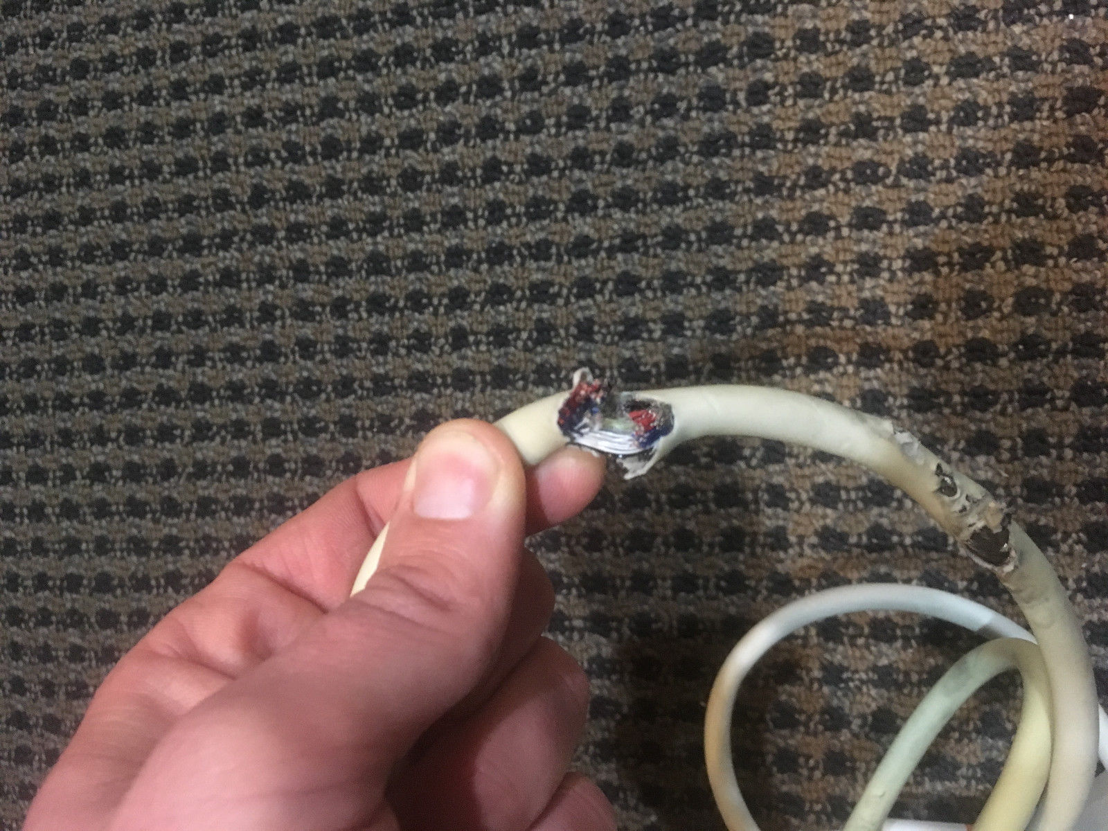 Mindray C5-2E Ultrasound Transducer Probe (Damaged Cable) DIAGNOSTIC ULTRASOUND MACHINES FOR SALE