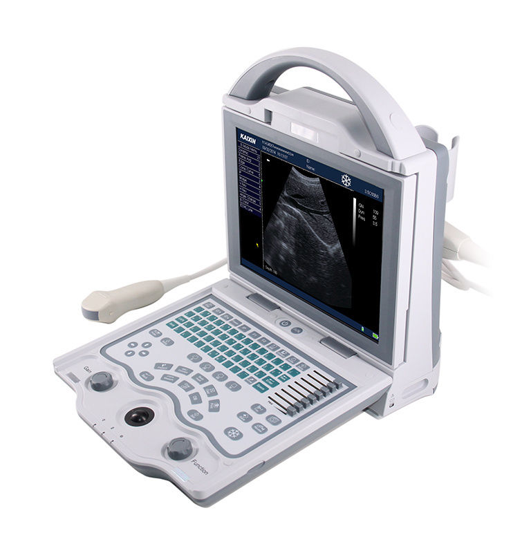 Kaixin KX5600V Portable Veterinary Light Weight Ultrasound & 7.5MHz Linear Probe DIAGNOSTIC ULTRASOUND MACHINES FOR SALE