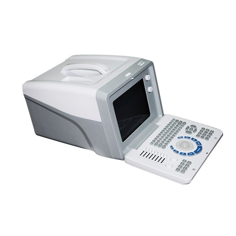 Portable Digital Ultrasound Machine Scanner + Linear +Transvaginal probe+3D New 190891758620 DIAGNOSTIC ULTRASOUND MACHINES FOR SALE