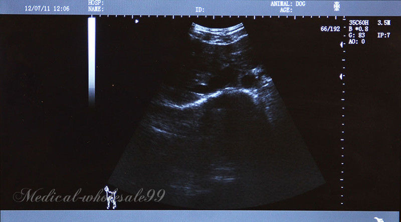 Laptop Veterinary Ultrasound Scanner/Machine Trans-Rectal Animals+Curve 2 Probes 190891742728 DIAGNOSTIC ULTRASOUND MACHINES FOR SALE