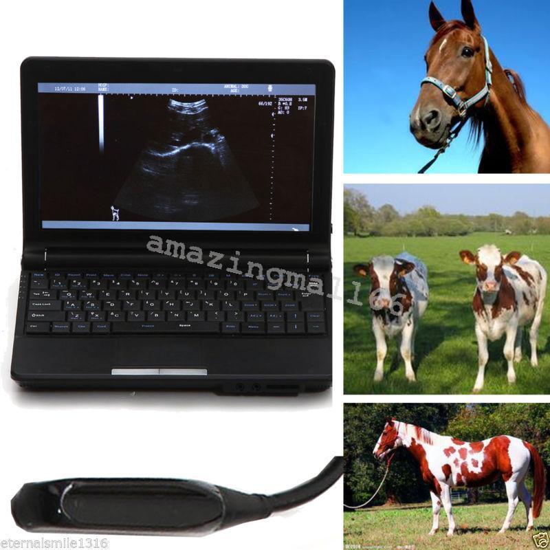 Veterinary vet Full Digital Laptop Ultrasound Scanner 5.0 Rectal Probe 3D Sale 190891462251 DIAGNOSTIC ULTRASOUND MACHINES FOR SALE