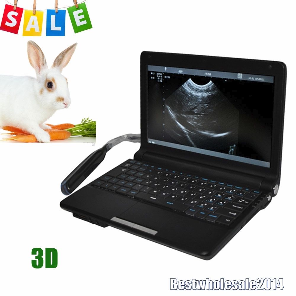 Laptop Veterinary Ultrasound Scanner/Machine Trans-Rectal Animals+Curve 2 Probes 190891742728 DIAGNOSTIC ULTRASOUND MACHINES FOR SALE