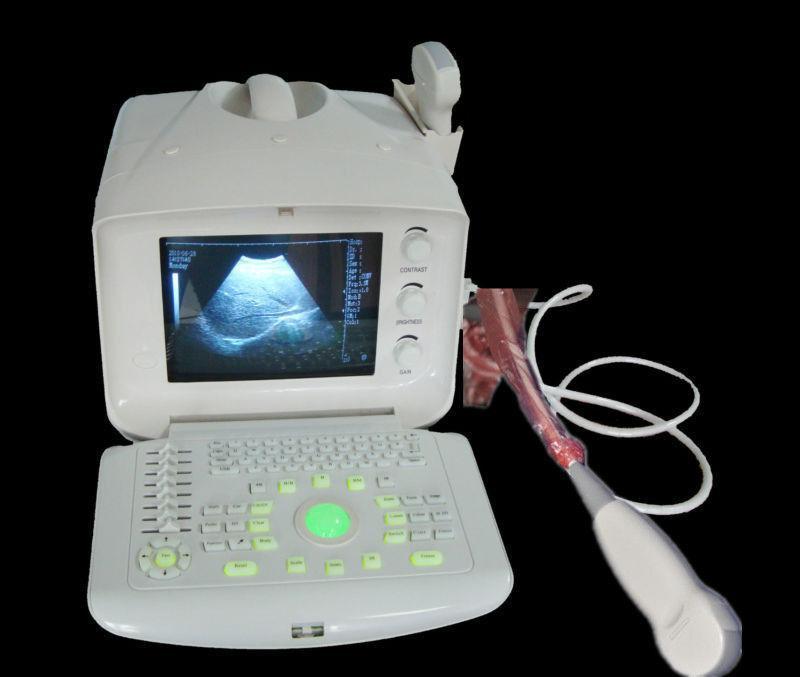 Veterinary B-Ultrasound Scanner/Machine Micro-convex Array Probe VET/Animals 3D 190891949295 DIAGNOSTIC ULTRASOUND MACHINES FOR SALE