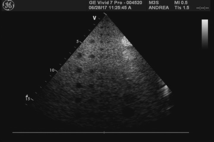 probe high quality image