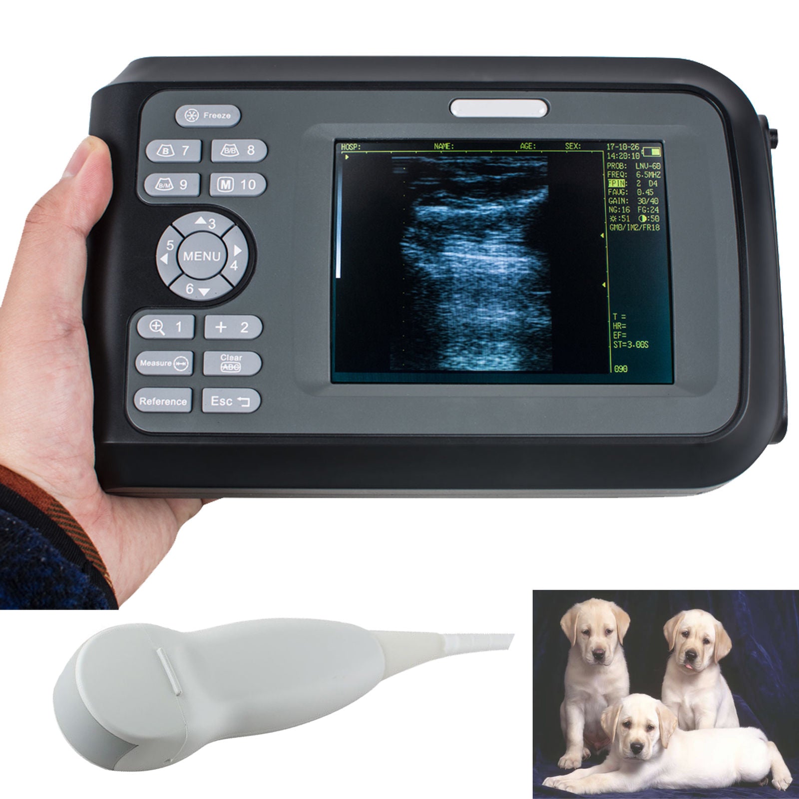 Digital Palm Handheld Ultrasound Scanner + Micro-Convex Probe 5.5" LCD Vet CE DIAGNOSTIC ULTRASOUND MACHINES FOR SALE