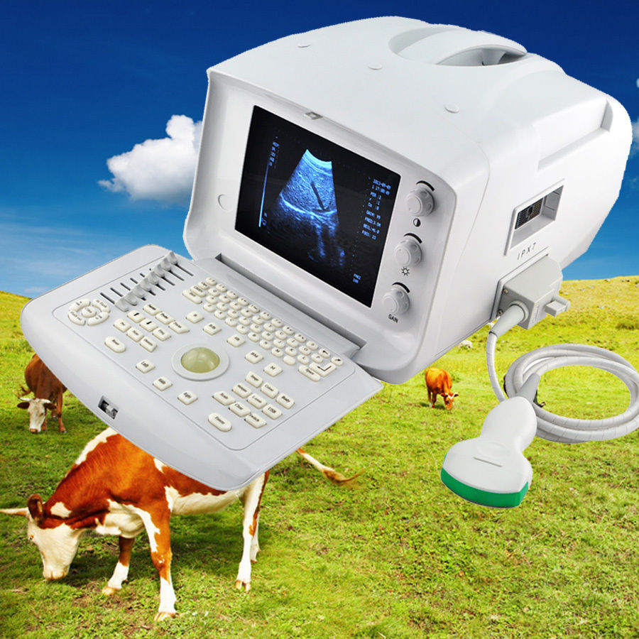 Portable Ultrasound Machine Scanner + convex probe+Free 3D Veterinary Animal Use 190891780430 DIAGNOSTIC ULTRASOUND MACHINES FOR SALE