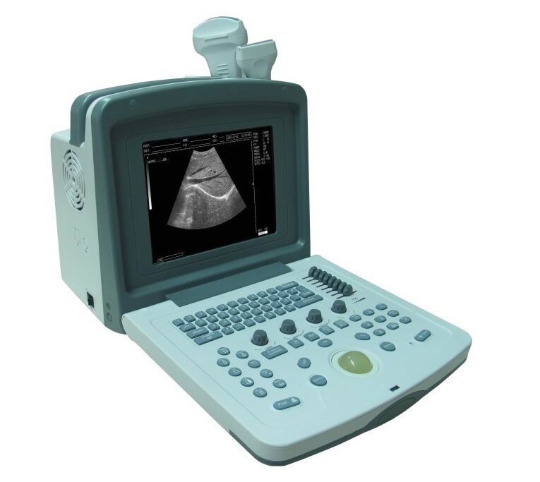 Veterinary Digital Ultrasound Scanner Machine & Two Probes, Stable WED-9618V DIAGNOSTIC ULTRASOUND MACHINES FOR SALE