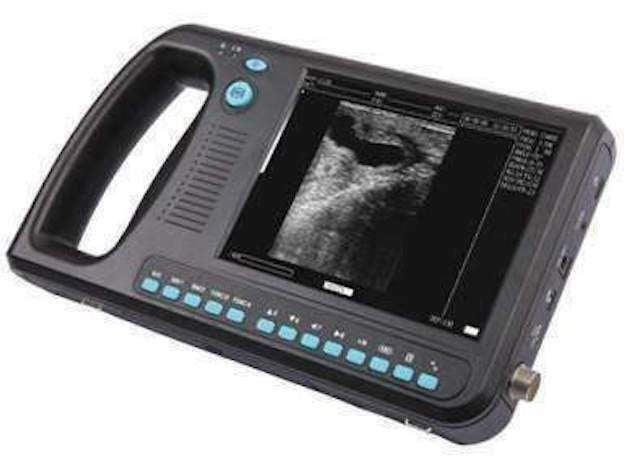 WED-3000 Veterinary Ultrasound Scanner with Rectal Probe - Many Sold in USA DIAGNOSTIC ULTRASOUND MACHINES FOR SALE