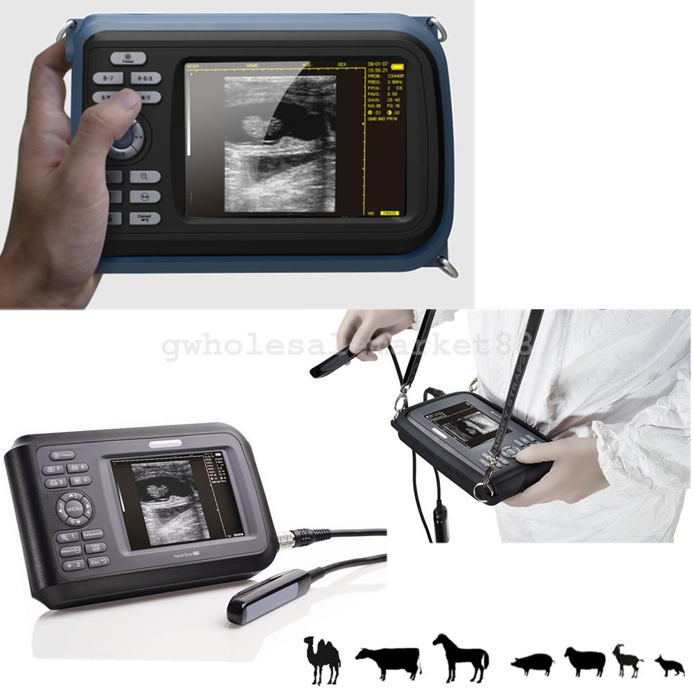 Veterinary Digital Palm Ultrasound Scanner Machine Animal Rectal Probe +Battery DIAGNOSTIC ULTRASOUND MACHINES FOR SALE