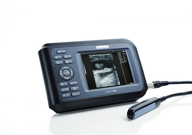 Veterinary handheld palm ultrasound scanner Machine Rectal Probe Livestock Pets DIAGNOSTIC ULTRASOUND MACHINES FOR SALE