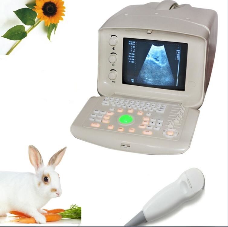 Vet Portable Ultrasound Scanner +5.0 Micro-Convex Probe +3D USB Port Animal Sale 190891434982 DIAGNOSTIC ULTRASOUND MACHINES FOR SALE