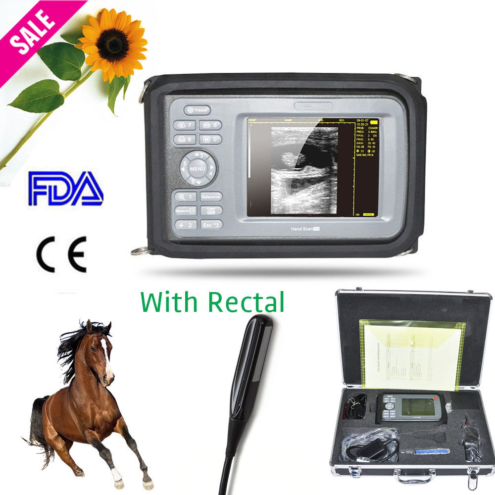 Veterinary/VET Digital  Ultrasound Scanner Machine  Rectal Probe Case Oximeter 190891379924 DIAGNOSTIC ULTRASOUND MACHINES FOR SALE