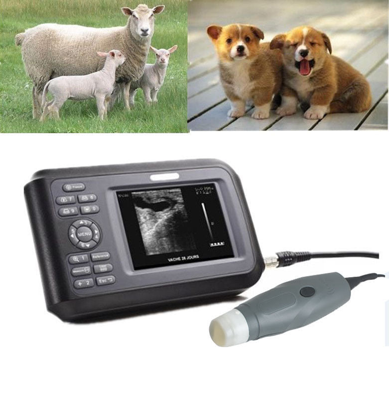 Veterinary Portable Ultrasound Scanner Machine Rectal Probe For Animal with Case 190891468284 DIAGNOSTIC ULTRASOUND MACHINES FOR SALE