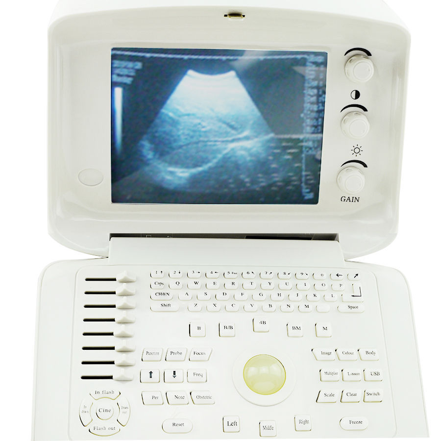 Veterinary Digital Ultrasound Scanner System Rectal Probe External 3D Image CE DIAGNOSTIC ULTRASOUND MACHINES FOR SALE