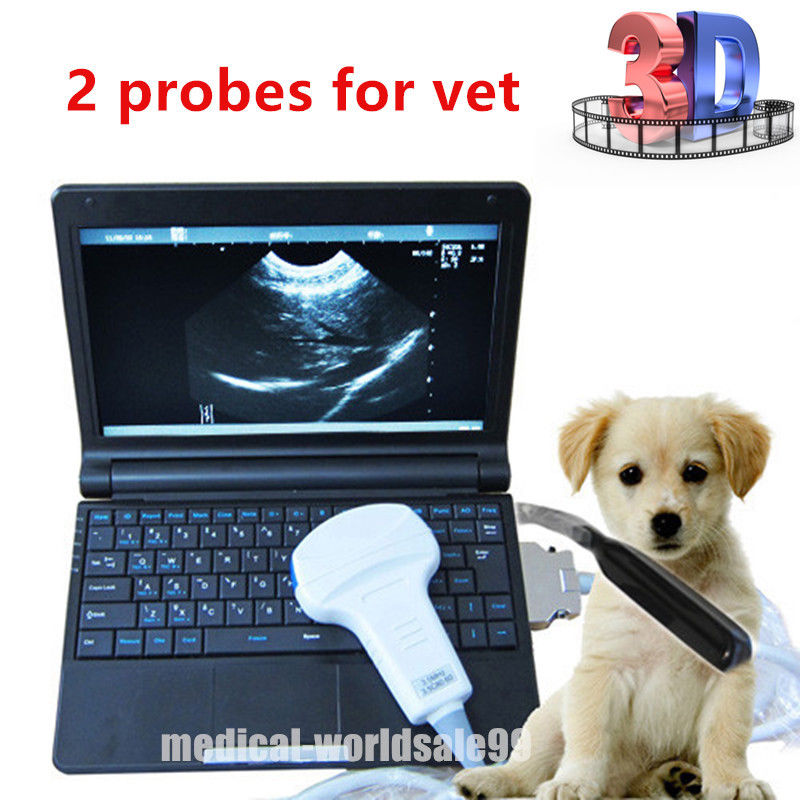 Laptop Machine Veterinary Ultrasound Scanner Covex & Rectal Animal Probe 3D Sale 190891516459 DIAGNOSTIC ULTRASOUND MACHINES FOR SALE