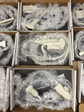 ULTRASOUND TRADUCERS REFURBISHED