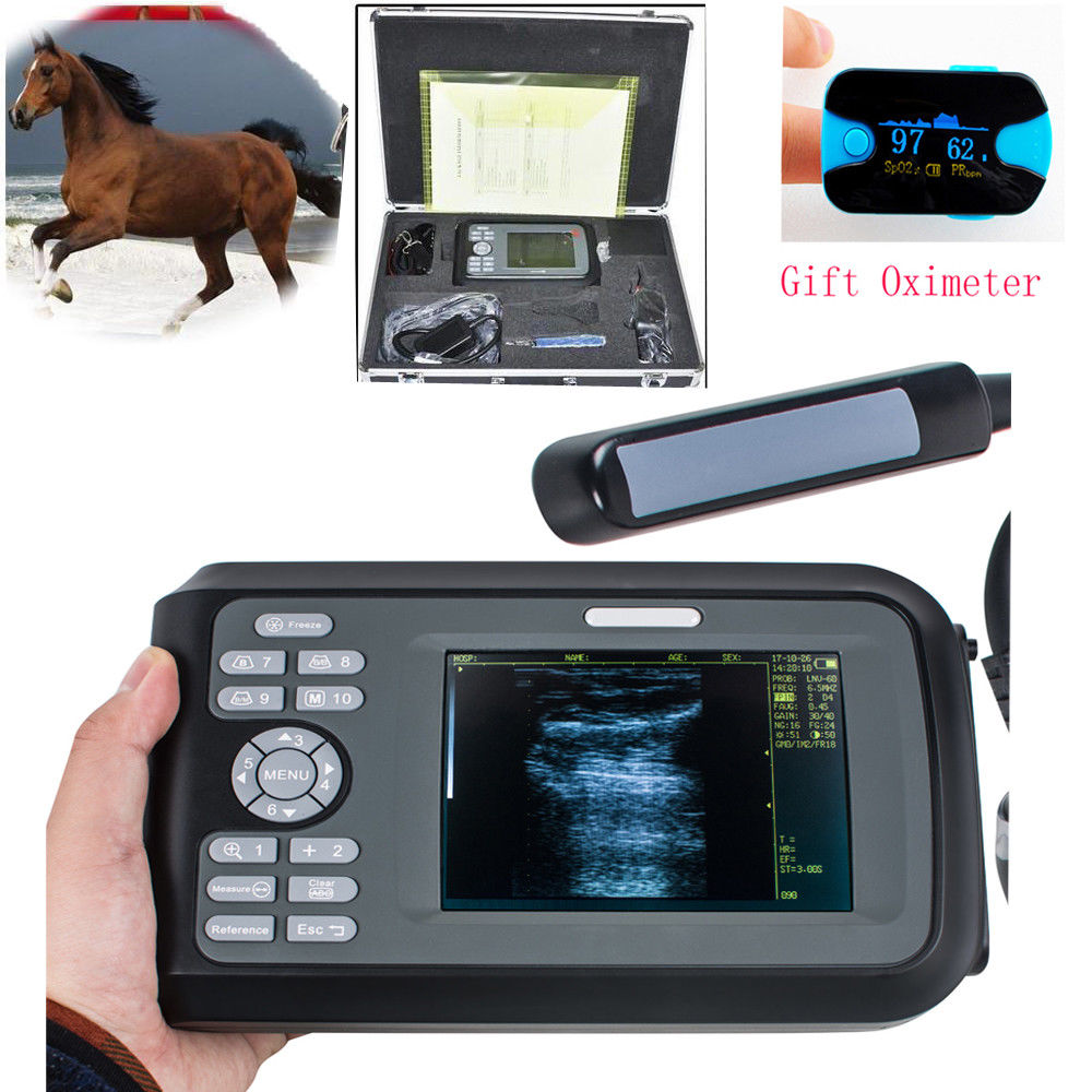 Veterinary VET Ultrasound Scanner Machine Animal Rectal Probe + Oximeter 20% Off 190891057464 DIAGNOSTIC ULTRASOUND MACHINES FOR SALE