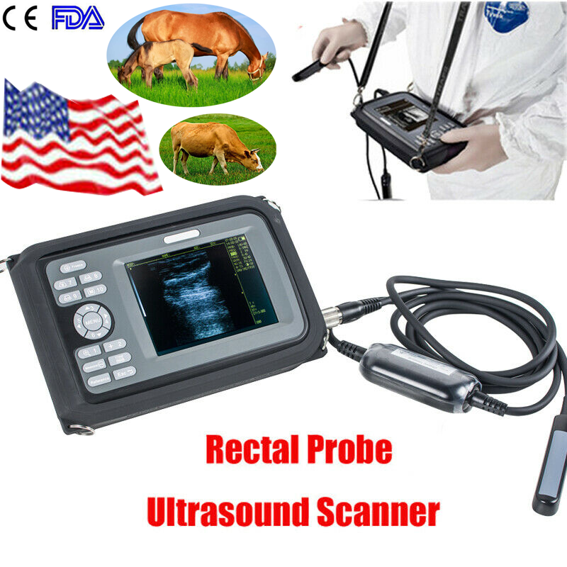 Portable Vet Digital Ultrasound Scanner Machine System Animal With Rectal Probe DIAGNOSTIC ULTRASOUND MACHINES FOR SALE