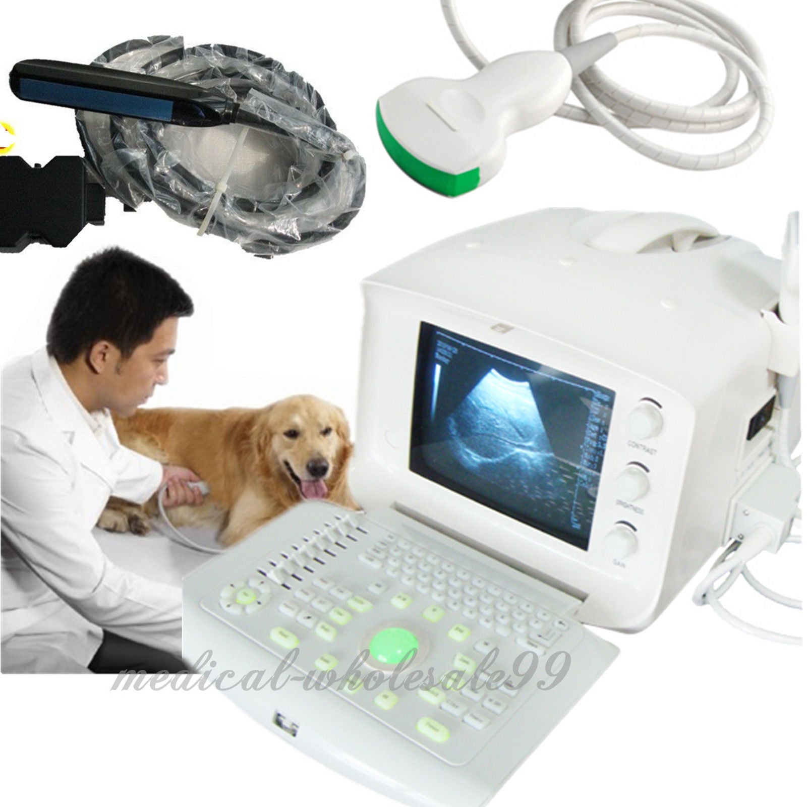 Veterinary Ultrasonic Machine Ultrasound Scanner  Convex& Rectal 2 Probe & 3D 190891814692 DIAGNOSTIC ULTRASOUND MACHINES FOR SALE