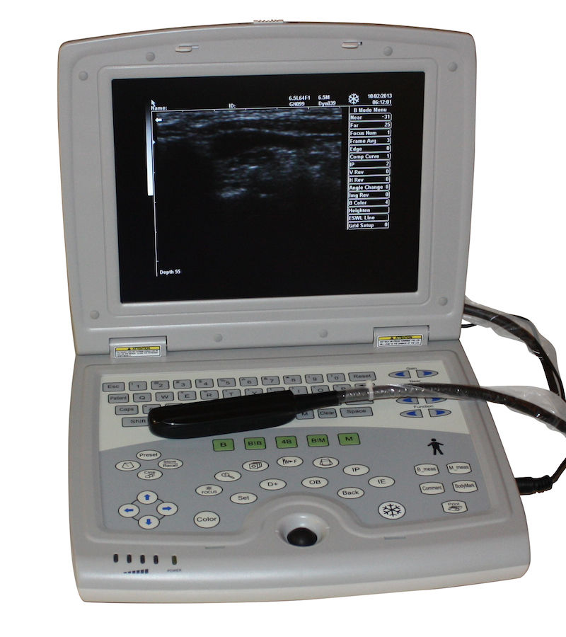 Veterinary Laptop - Animal Ultrasound Scanner - Bovine, Equine KeeboMed KX5000KV DIAGNOSTIC ULTRASOUND MACHINES FOR SALE