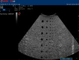 Biosound Esaote CA421P Ultrasound Probe