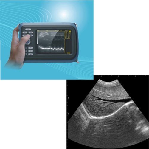 Veterinary handheld, ultrasound scanner System For cow/horse/Animal,rectal 6.5M 190891055545 DIAGNOSTIC ULTRASOUND MACHINES FOR SALE