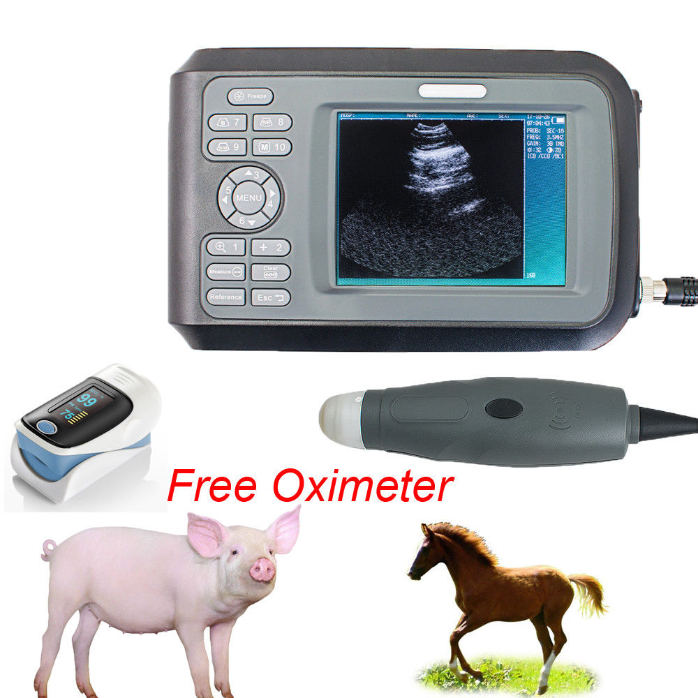 Veterinary Ultrasound Scanner Handscan Rectal Probe For Pig Sheep Dog +Oximeter  190891468284 DIAGNOSTIC ULTRASOUND MACHINES FOR SALE