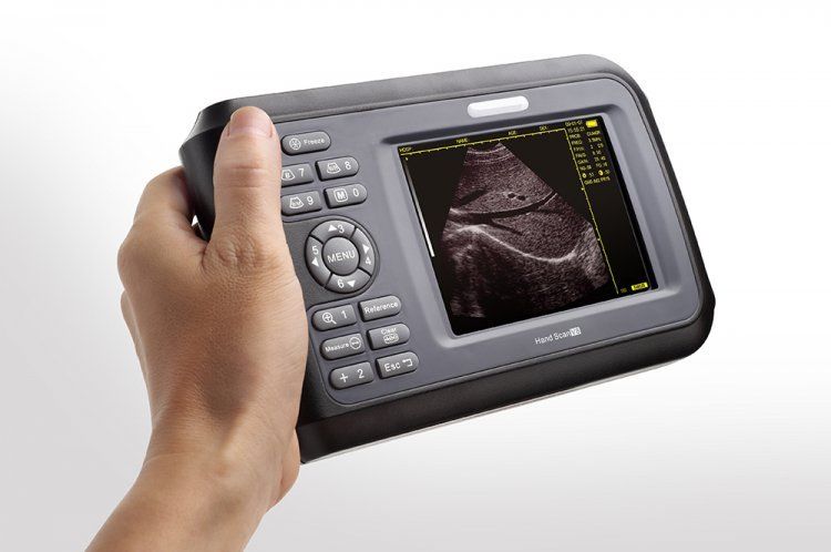 Veterinary handheld, palmtop ultrasound scanner Machine cow/Animal,rectal Probe DIAGNOSTIC ULTRASOUND MACHINES FOR SALE