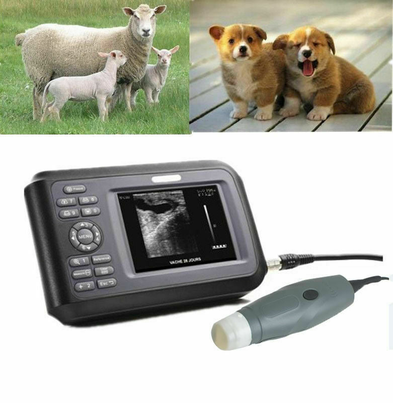 Portable Veterinary Vet Ultrasound Scanner Machine Kit For Pregnancy Animal Dog DIAGNOSTIC ULTRASOUND MACHINES FOR SALE
