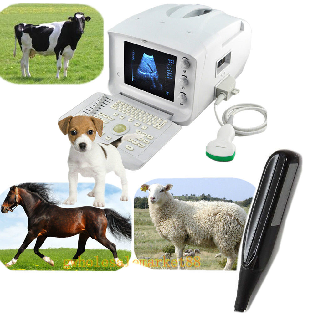 Veterianry Ultrasound Machine Scanner 3.5 Convex 6.5M Rectal Probe + 3D Software DIAGNOSTIC ULTRASOUND MACHINES FOR SALE