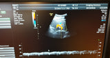 GE4C-D Ultrasound Probe/Transducer