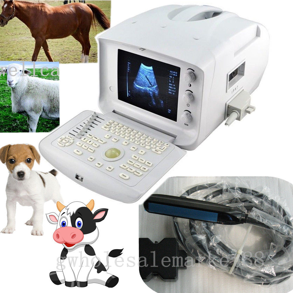 New Portable Vet Pet Veterinary Ultrasound Scanner Machine + Rectal Probe + 3D  190891826916 DIAGNOSTIC ULTRASOUND MACHINES FOR SALE