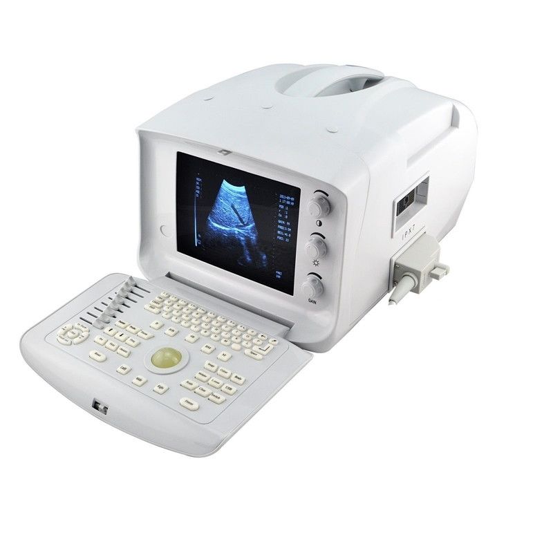 Veterinary Ultrasound Scanner machine Convex +Linear 2 Probes Free 3D Sale DIAGNOSTIC ULTRASOUND MACHINES FOR SALE