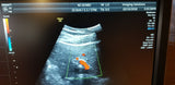 GE4C-D Ultrasound Probe/Transducer
