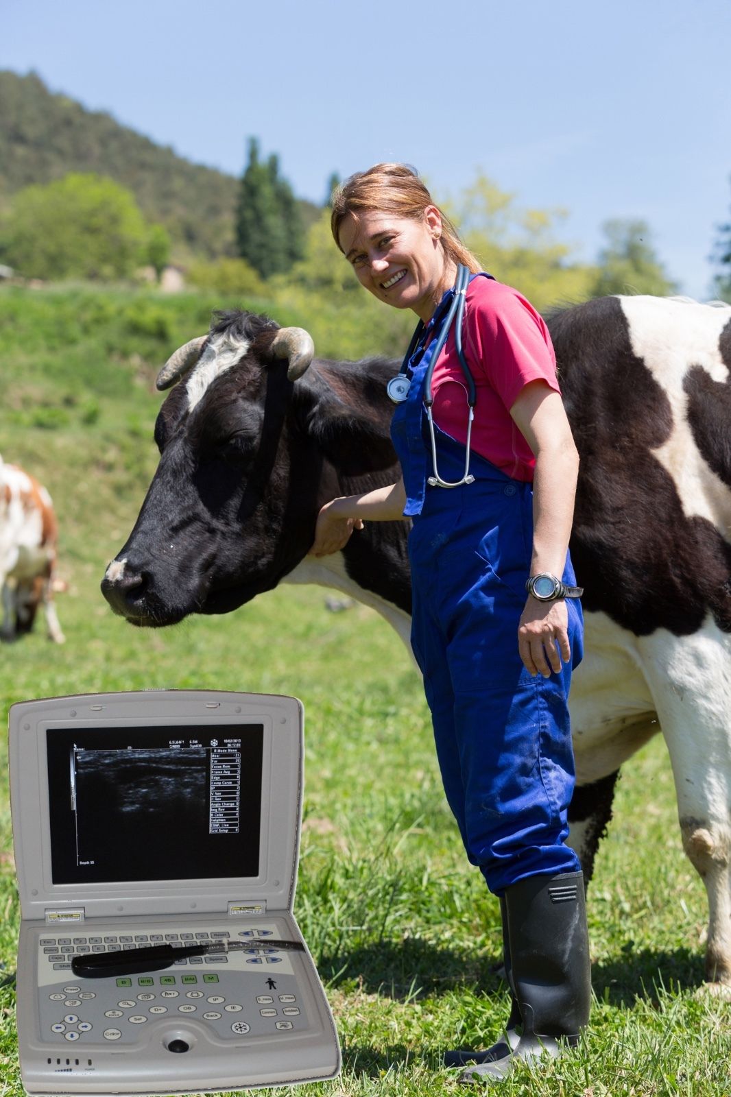 Veterinary Laptop - Animal Ultrasound Scanner - Bovine, Equine KeeboMed KX5000KV DIAGNOSTIC ULTRASOUND MACHINES FOR SALE