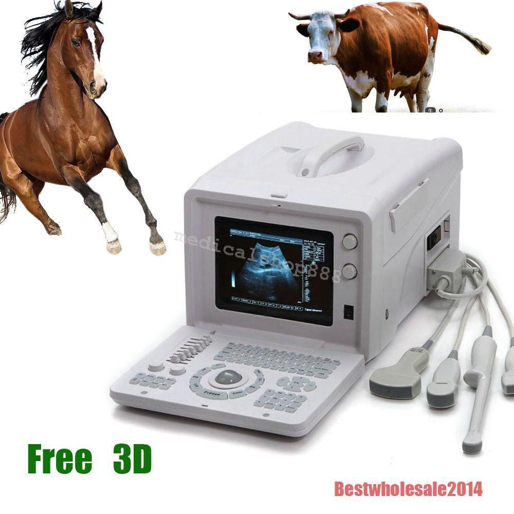 VET Portable B Ultrasound Scanner Diagnostic Machine & Linear Array Probe CE 3D DIAGNOSTIC ULTRASOUND MACHINES FOR SALE