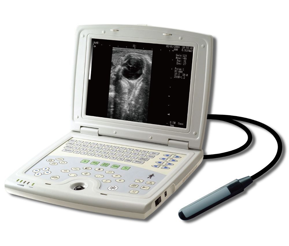 KX5000V Quality Veterinary Laptop Ultrasound Scanner LED & Rectal Probe-KeeboMed DIAGNOSTIC ULTRASOUND MACHINES FOR SALE