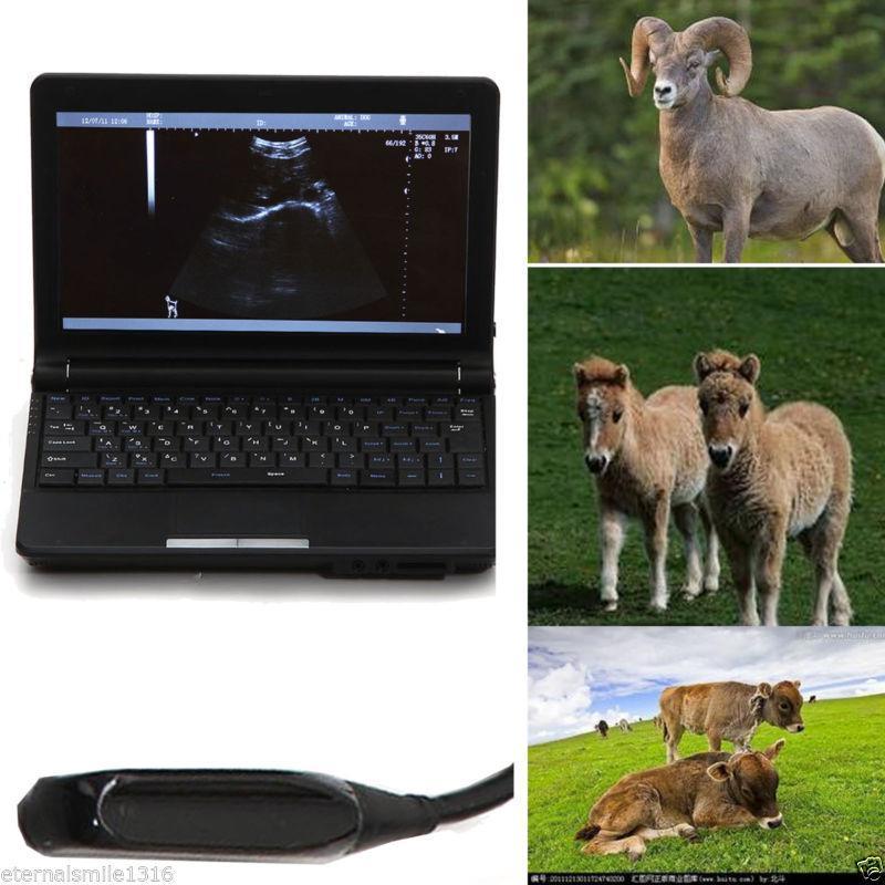 Veterinary vet Digital Laptop Ultrasound Scanner w Rectal Linear Probe 3D A+ 190891459831 DIAGNOSTIC ULTRASOUND MACHINES FOR SALE