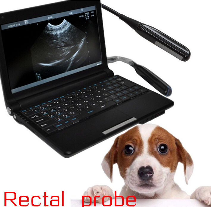 Vet Digital Laptop Veterinary Ultrasound Scanner  Machine+ Rectal probe 3D A+ 190891426246 DIAGNOSTIC ULTRASOUND MACHINES FOR SALE