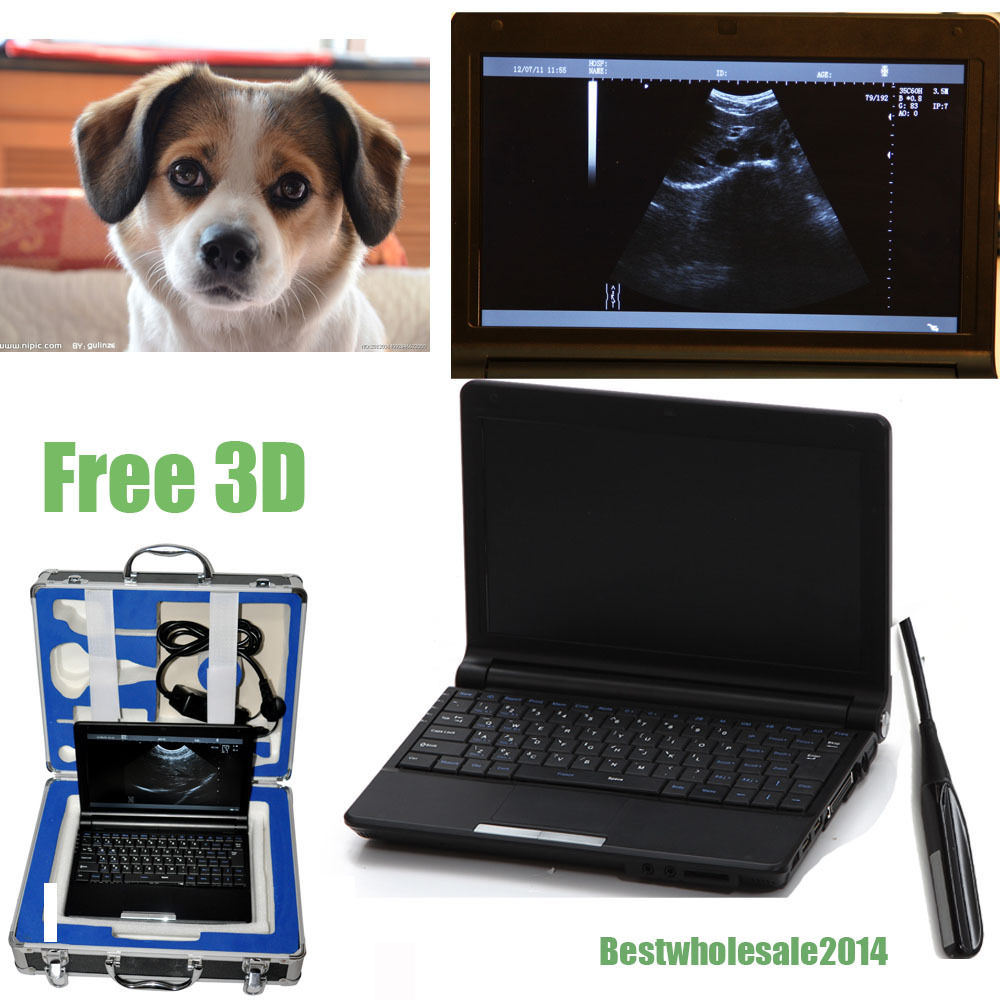 Veterinary Laptop Machine Ultrasound Scanner Machine+Rectal probe &Box &3D Sale 190891880635 DIAGNOSTIC ULTRASOUND MACHINES FOR SALE