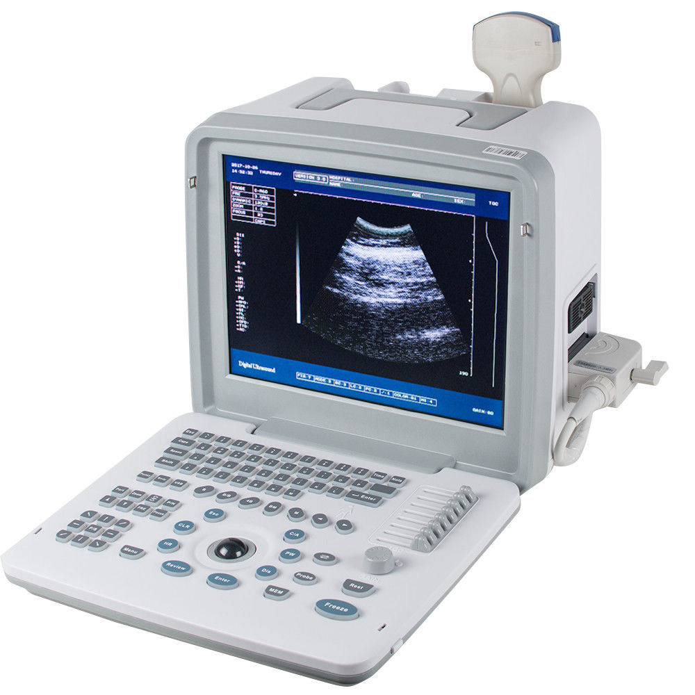 Veterinary Animals Portable Ultrasound Scanner/Machine Linear Probe 3D Livestock DIAGNOSTIC ULTRASOUND MACHINES FOR SALE