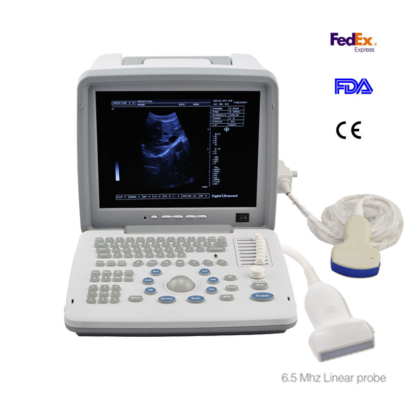 Sale 12 inch Ultrasound Scanner Digital Machine+Convex &Linear 2 Probes+3D Image 190891926722 DIAGNOSTIC ULTRASOUND MACHINES FOR SALE