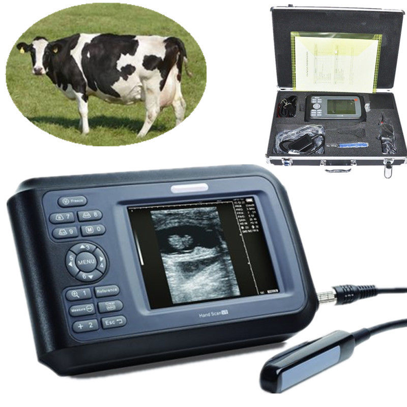 Vet 5.5'' Color Digital PalmSmart Ultrasound Scanner with Rectal Probe Medical DIAGNOSTIC ULTRASOUND MACHINES FOR SALE