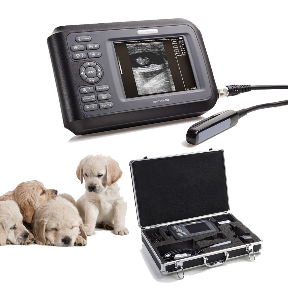 Veterinary Portable Digital Ultrasound Scanner +Rectal Probe +Battery+Case +Line 190891453105 DIAGNOSTIC ULTRASOUND MACHINES FOR SALE